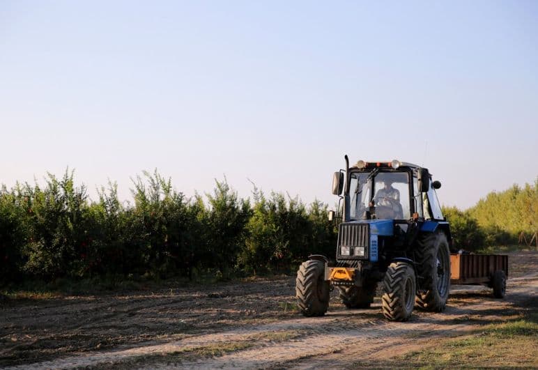 Sector agroforestal - agricultura de precisión